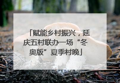 赋能乡村振兴，延庆五村联办一场“冬奥版”夏季村晚