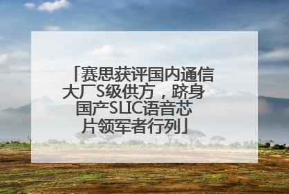 赛思获评国内通信大厂S级供方，跻身国产SLIC语音芯片领军者行列