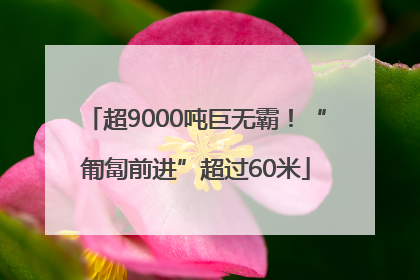 超9000吨巨无霸！“匍匐前进”超过60米
