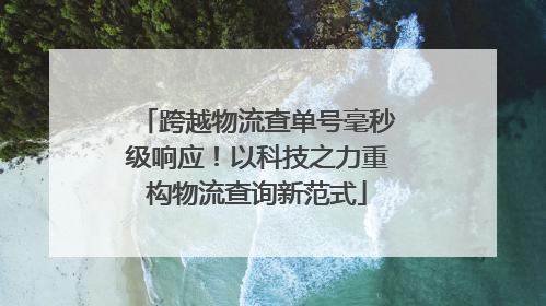 跨越物流查单号毫秒级响应！以科技之力重构物流查询新范式