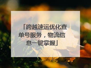 跨越速运优化查单号服务，物流信息一键掌握
