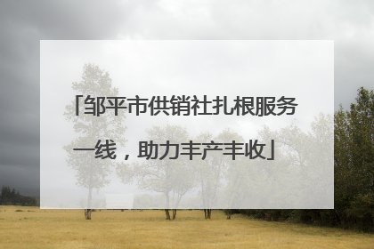 邹平市供销社扎根服务一线，助力丰产丰收