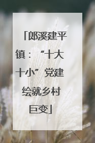 郎溪建平镇：“十大十小”党建 绘就乡村巨变