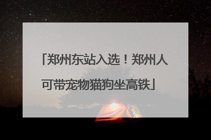 郑州东站入选！郑州人可带宠物猫狗坐高铁