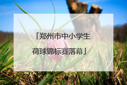 郑州市中小学生荷球锦标赛落幕