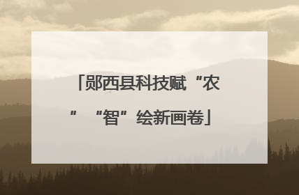 郧西县科技赋“农”“智”绘新画卷