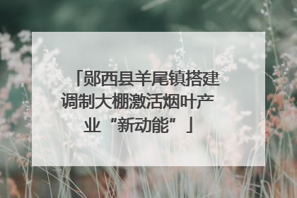 郧西县羊尾镇搭建调制大棚激活烟叶产业“新动能”