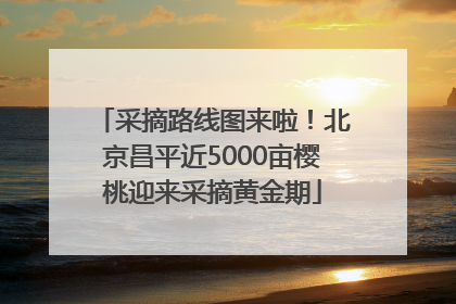 采摘路线图来啦！北京昌平近5000亩樱桃迎来采摘黄金期