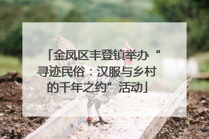 金凤区丰登镇举办“寻迹民俗：汉服与乡村的千年之约”活动