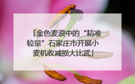 金色麦浪中的“精准较量”石家庄市开展小麦机收减损大比武