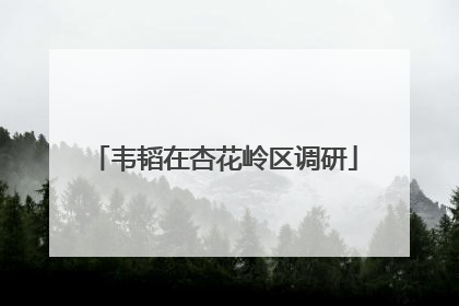 韦韬在杏花岭区调研