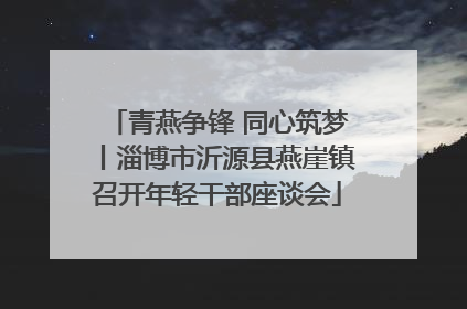 青燕争锋 同心筑梦丨淄博市沂源县燕崖镇召开年轻干部座谈会