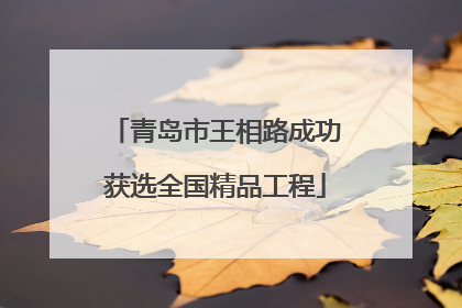 青岛市王相路成功获选全国精品工程
