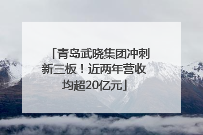 青岛武晓集团冲刺新三板！近两年营收均超20亿元
