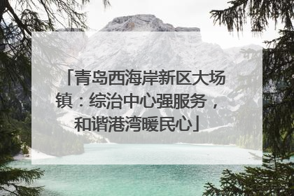 青岛西海岸新区大场镇：综治中心强服务，和谐港湾暖民心