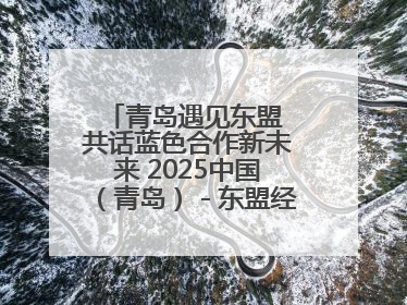青岛遇见东盟 共话蓝色合作新未来 2025中国（青岛）－东盟经贸合作与人文交流活动举行