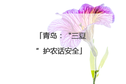 青岛:“三夏”护农话安全