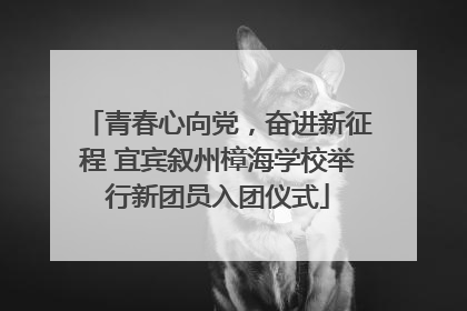 青春心向党，奋进新征程 宜宾叙州樟海学校举行新团员入团仪式