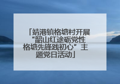 靖港镇格塘村开展“韶山红途砺党性 格塘先锋践初心”主题党日活动