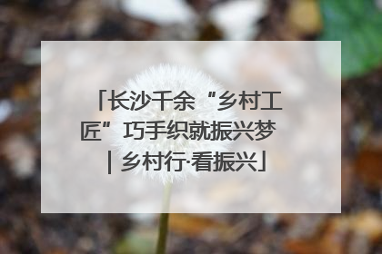 长沙千余“乡村工匠”巧手织就振兴梦｜乡村行·看振兴