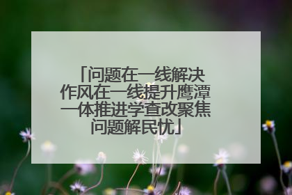 问题在一线解决 作风在一线提升鹰潭一体推进学查改聚焦问题解民忧