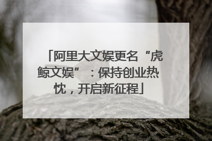阿里大文娱更名“虎鲸文娱”：保持创业热忱，开启新征程
