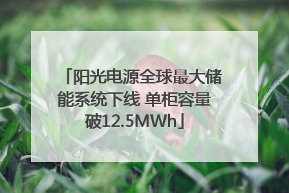 阳光电源全球最大储能系统下线 单柜容量破12.5MWh
