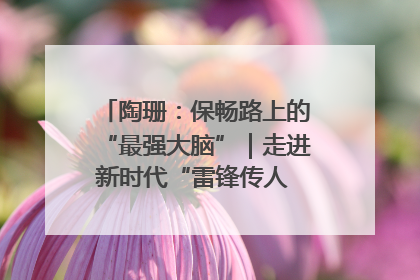 陶珊：保畅路上的“最强大脑”｜走进新时代“雷锋传人 长沙榜样”