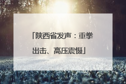 陕西省发声：重拳出击、高压震慑