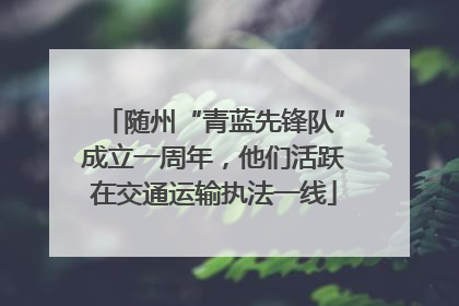 随州“青蓝先锋队”成立一周年，他们活跃在交通运输执法一线