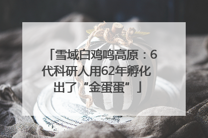 雪域白鸡鸣高原：6代科研人用62年孵化出了“金蛋蛋”