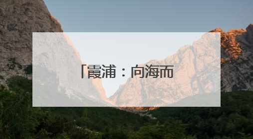 霞浦：向海而兴的人才密码