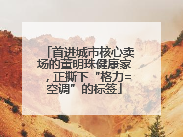 首进城市核心卖场的董明珠健康家，正撕下“格力=空调”的标签