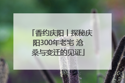 香约庆阳丨探秘庆阳300年老宅 沧桑与变迁的见证
