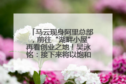 马云现身阿里总部，前往“湖畔小屋”再看创业之地！吴泳铭：接下来将以饱和式投入的打法，聚焦于几大核心战役