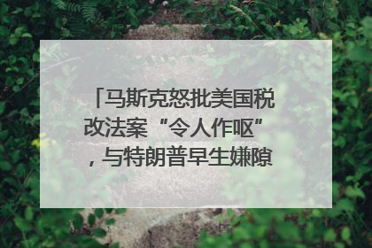 马斯克怒批美国税改法案“令人作呕”，与特朗普早生嫌隙？｜国际识局