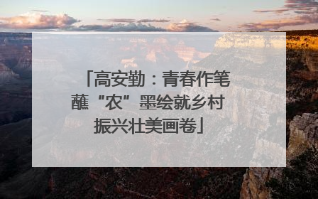 高安勤：青春作笔蘸“农”墨绘就乡村振兴壮美画卷