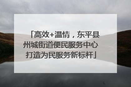 高效+温情，东平县州城街道便民服务中心打造为民服务新标杆