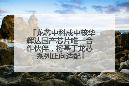 龙芯中科成中核华辉达国产芯片唯一合作伙伴，将基于龙芯系列正向适配