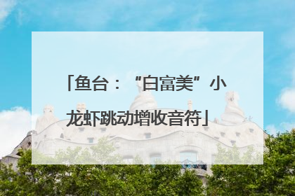 鱼台：“白富美”小龙虾跳动增收音符