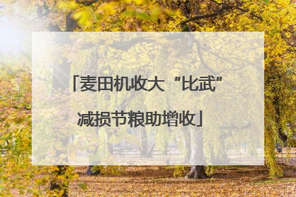 麦田机收大“比武” 减损节粮助增收