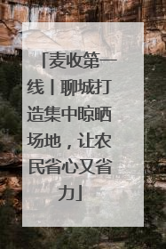 麦收第一线丨聊城打造集中晾晒场地，让农民省心又省力