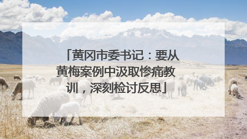 黄冈市委书记：要从黄梅案例中汲取惨痛教训，深刻检讨反思