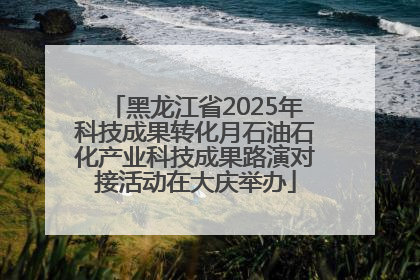 黑龙江省2025年科技成果转化月石油石化产业科技成果路演对接活动在大庆举办