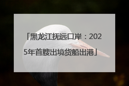 黑龙江抚远口岸：2025年首艘出境货船出港
