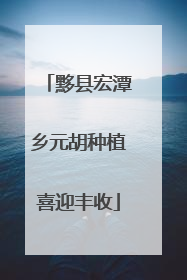 黟县宏潭乡元胡种植喜迎丰收