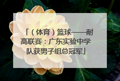 （体育）篮球——耐高联赛：广东实验中学队获男子组总冠军