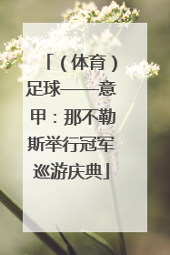 （体育）足球——意甲：那不勒斯举行冠军巡游庆典