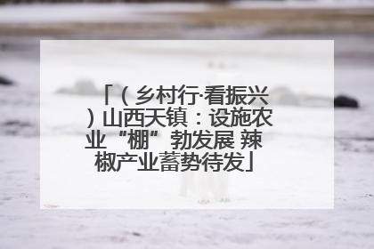 （乡村行·看振兴）山西天镇：设施农业“棚”勃发展 辣椒产业蓄势待发