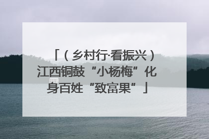 （乡村行·看振兴）江西铜鼓“小杨梅”化身百姓“致富果”